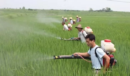 2.webp.jpg 2.webp.jpg