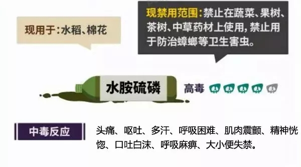 6.webp.jpg 6.webp.jpg