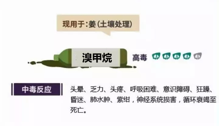 8.webp.jpg 8.webp.jpg