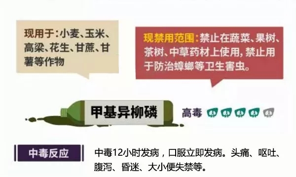 11.webp.jpg 11.webp.jpg