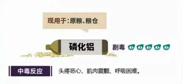 12.webp.jpg 12.webp.jpg