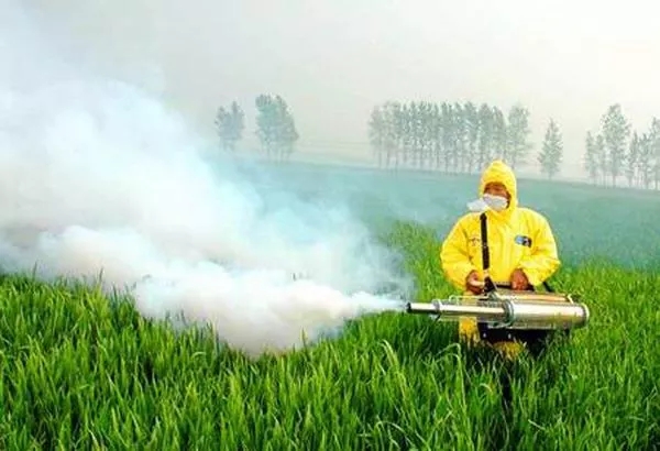 16.webp.jpg 16.webp.jpg