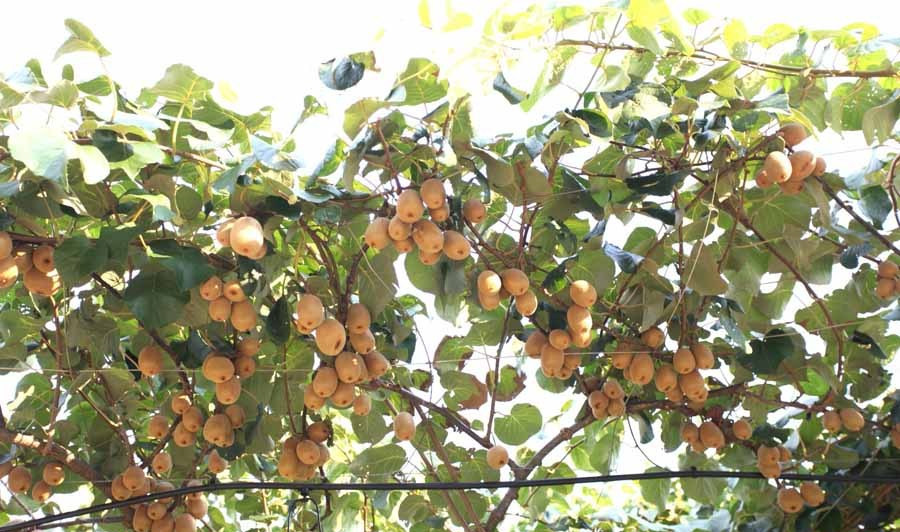 f0038ca4e5031b240a1205.jpg f0038ca4e5031b240a1205.jpg