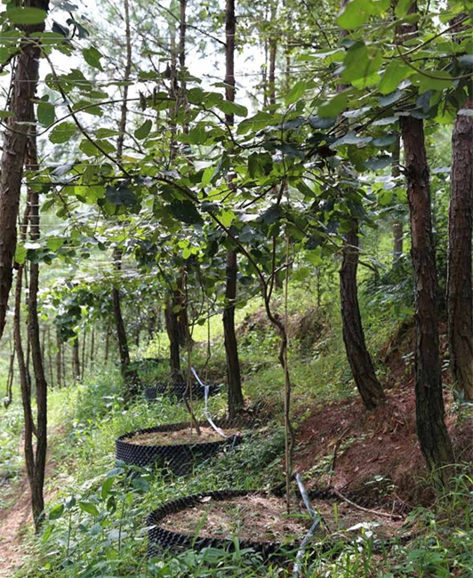 f0038ca4e5031b240a1207.jpg f0038ca4e5031b240a1207.jpg