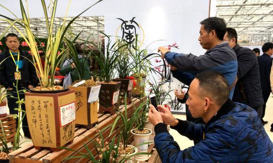 78521511398821.jpg 78521511398821.jpg