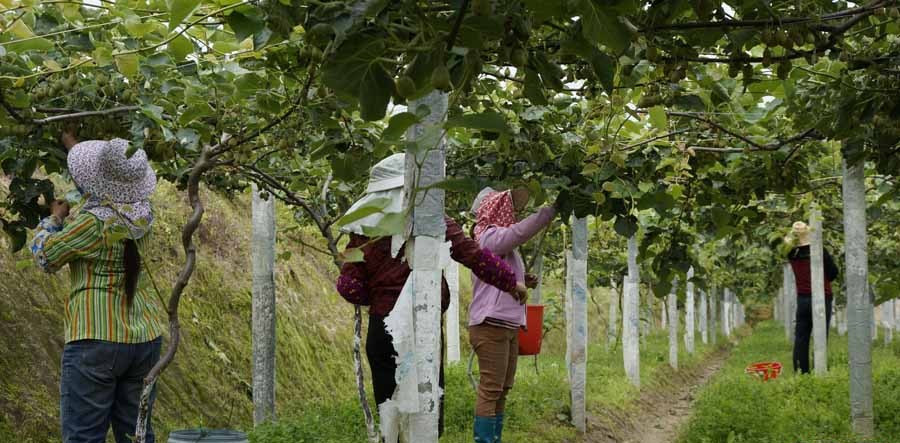 f0038ca4e5031b240a1206.jpg f0038ca4e5031b240a1206.jpg