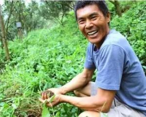 坚持12年不施肥、不除草!果园欣欣向荣,原因何在