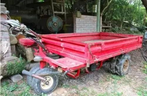 坚持12年不施肥、不除草!果园欣欣向荣,原因何在