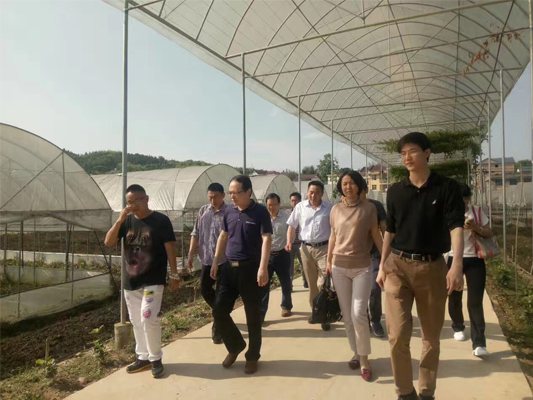 947394755.jpg 947394755.jpg