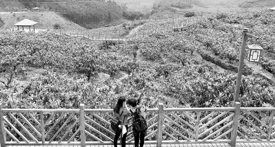 947394755.jpg 947394755.jpg