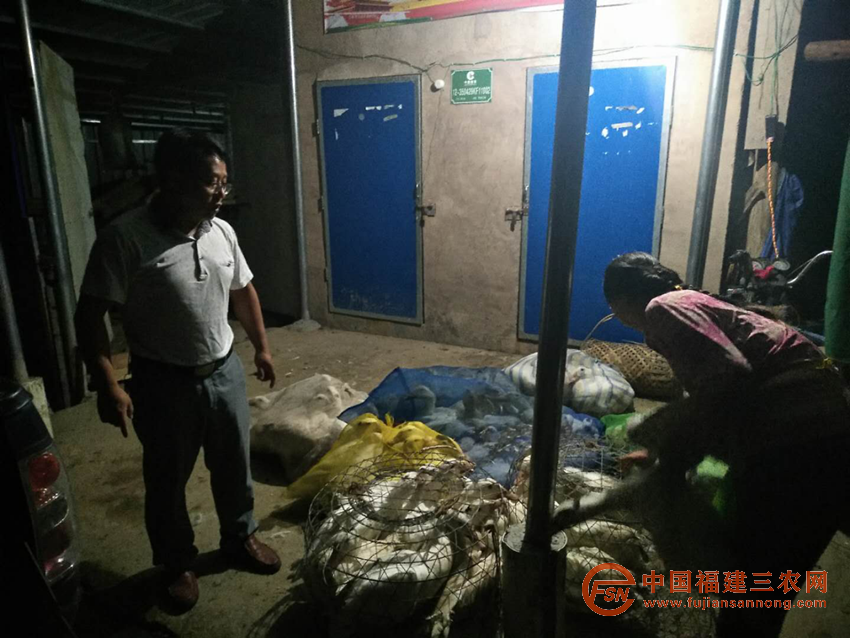 图片28_副本.png