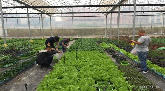 image001.jpg image001.jpg