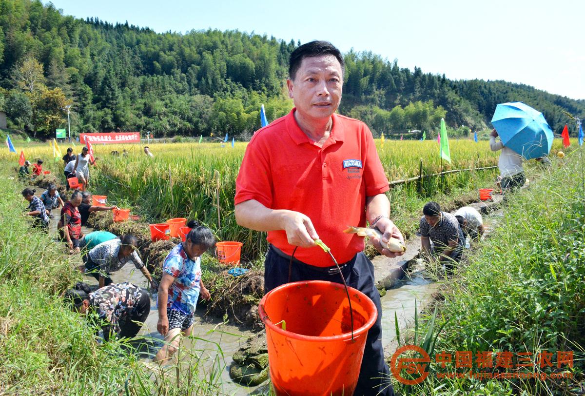 6、光泽县仁厚村民在科技示范基地捕获稻花鱼(李福根 摄) 2018-9-21.jpg