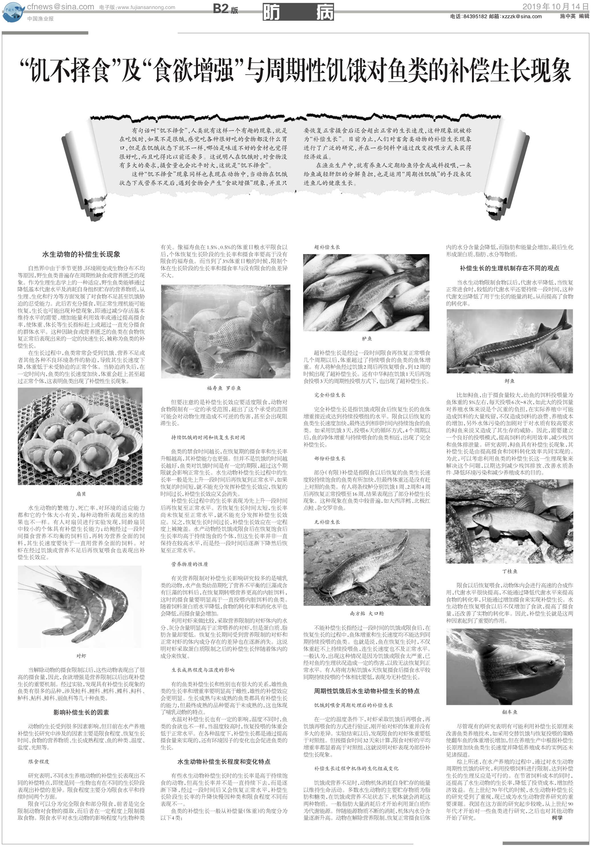 10.14yy61_Print.jpg