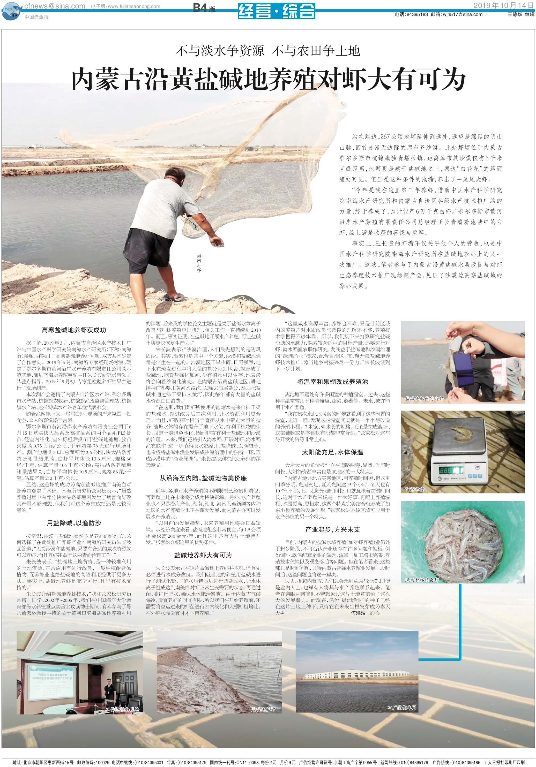 10.14yy81_Print.jpg