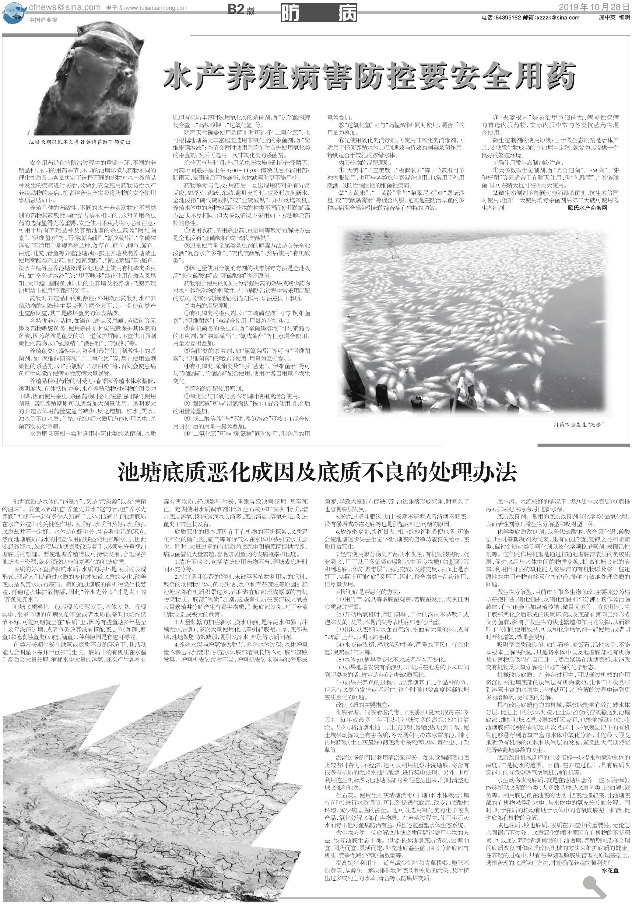 10.28yy61_Print.jpg