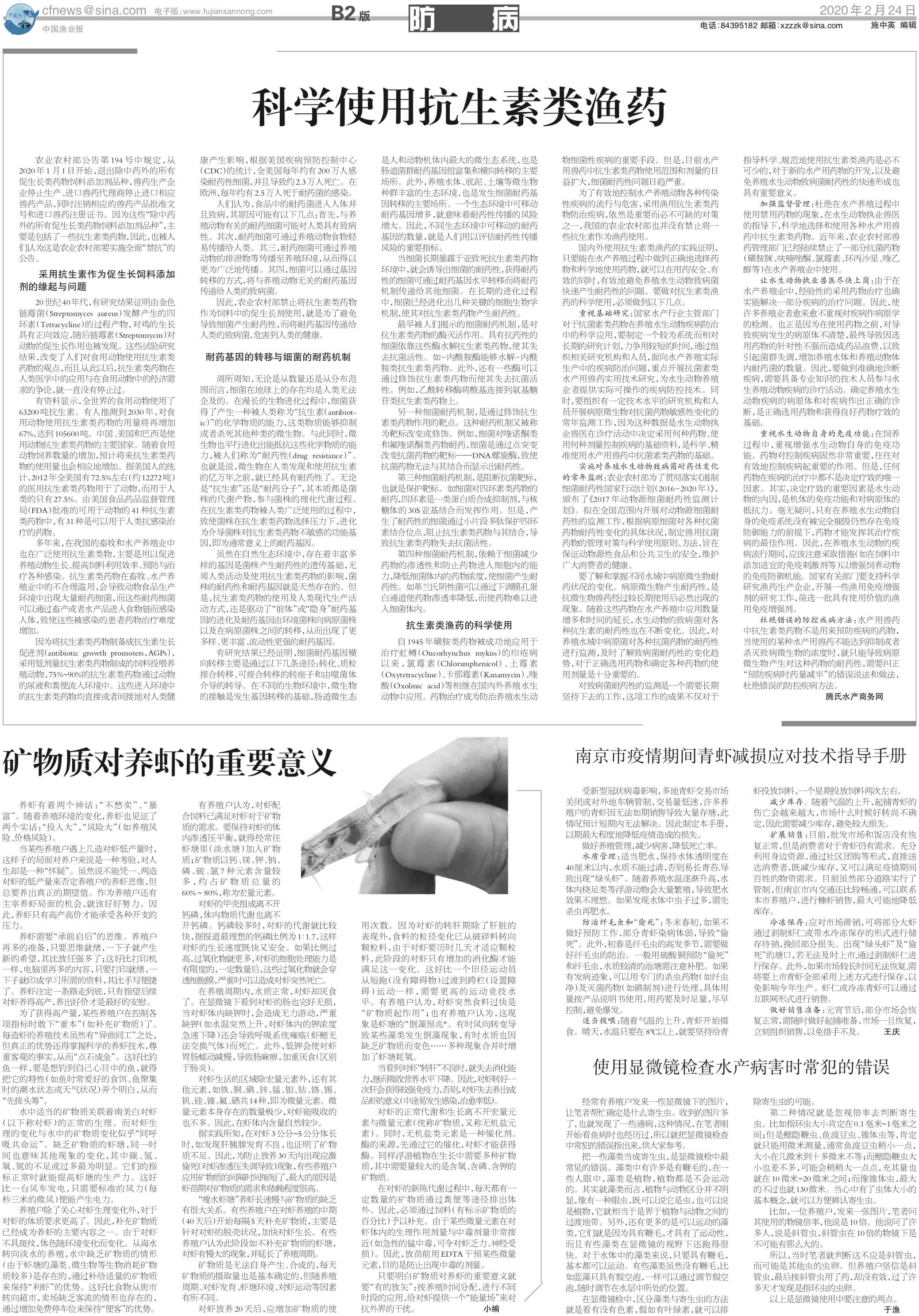 2.24yy61_Print.jpg