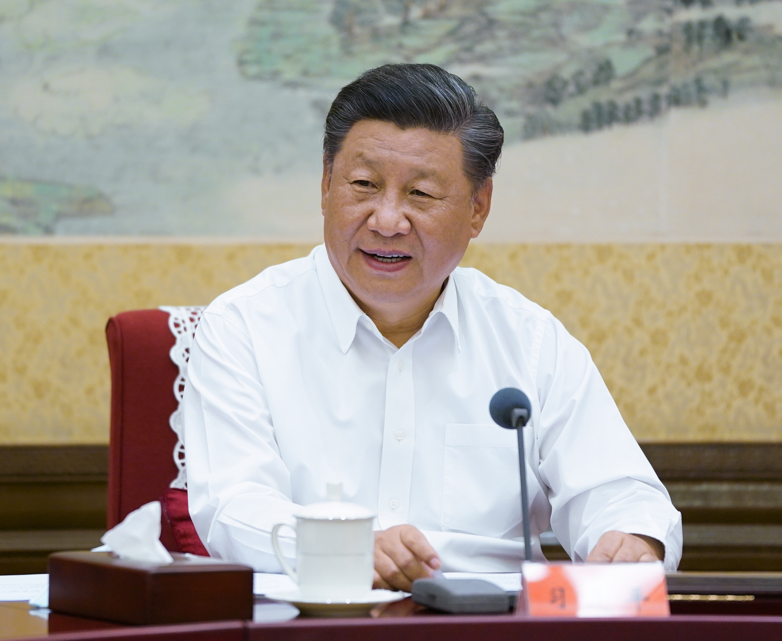 习近平2.JPG