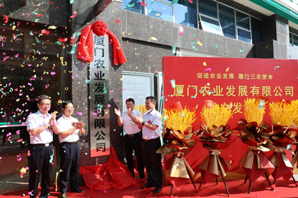 图片12.png
