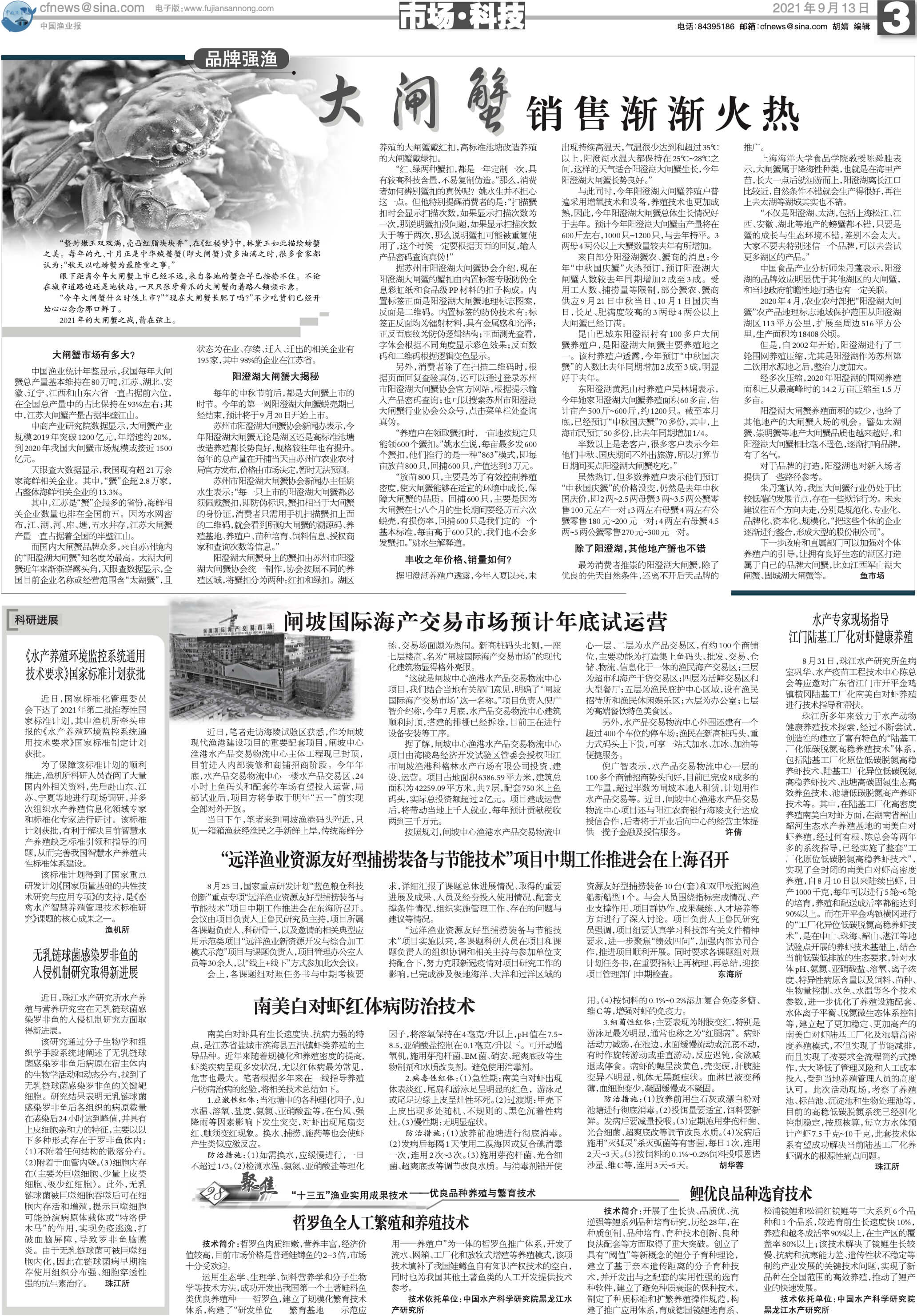 9.13yy31_Print.jpg
