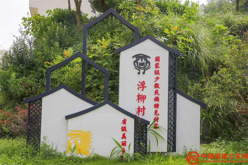 福鼎市浮柳村村景 。 王婷婷 摄.jpg