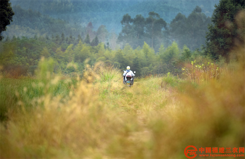 用坚守诠释“场上父子兵”,连佳乐骑行在上门问诊的乡村小路上 (4).jpg