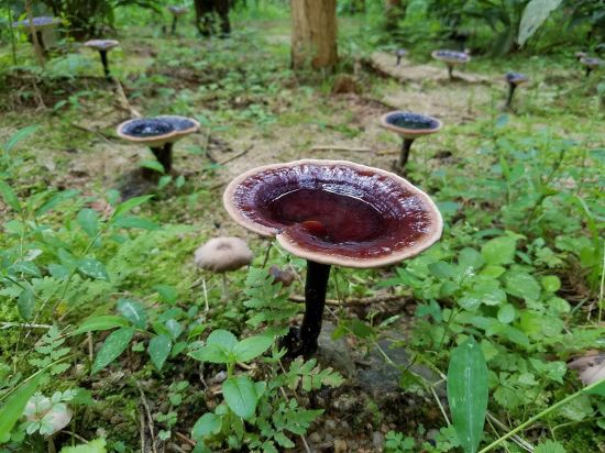 U14P4DT20211220143020.jpg U14P4DT20211220143020.jpg