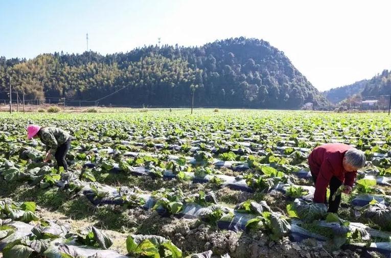 360截图20211226232605959.jpg 360截图20211226232605959.jpg