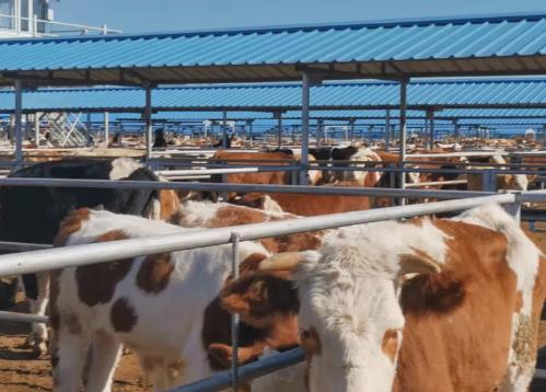 360截图20211227172744669.jpg 360截图20211227172744669.jpg