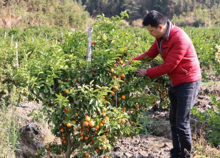 360截图20211228085942840.jpg 360截图20211228085942840.jpg