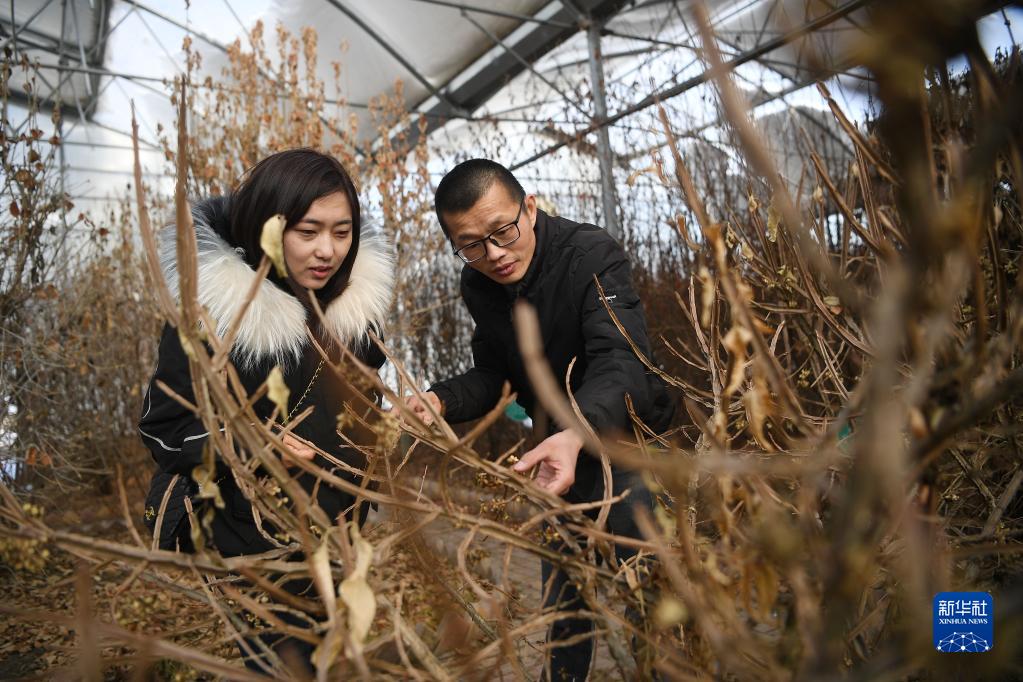 持之以恒的坚守 难以割舍的深情——福建援宁群体的新春“山海情” 持之以恒的坚守 难以割舍的深情——福建援宁群体的新春“山海情”