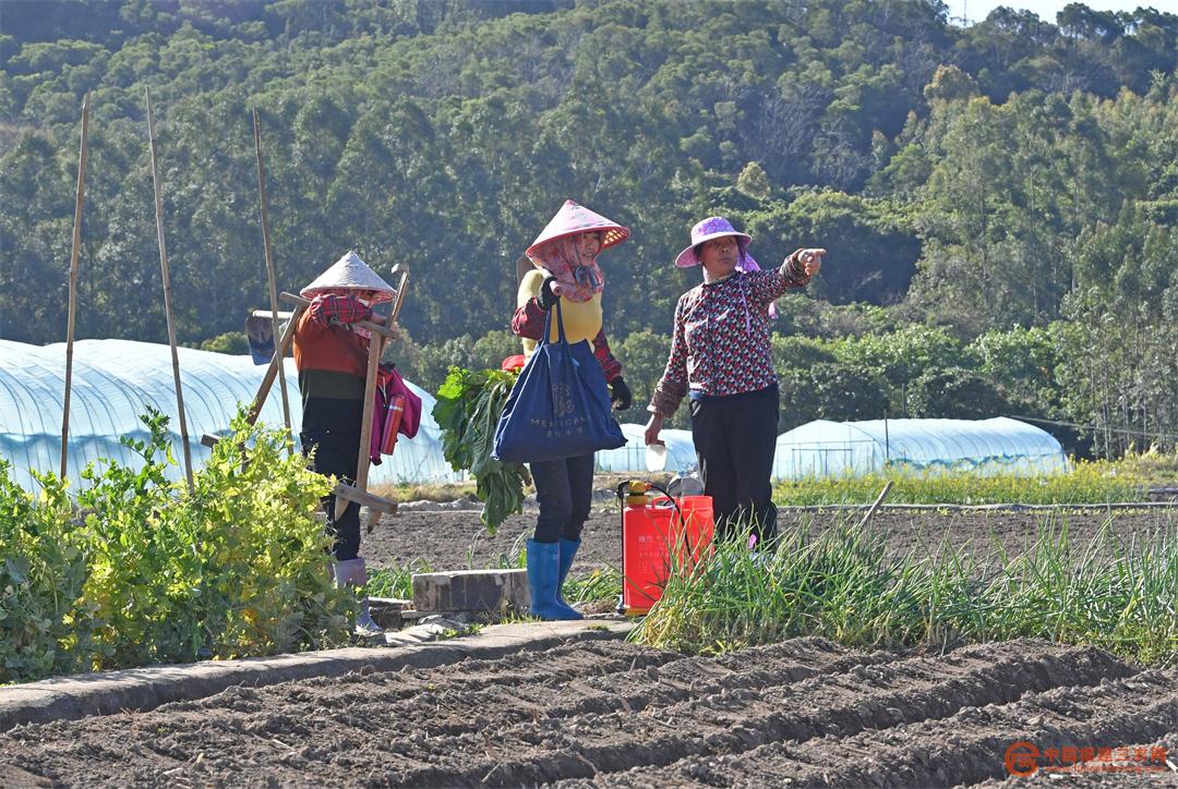 3月9日，在福建省泉州市泉港区涂岭镇五社村，劳作完成的农户在交流。.jpg