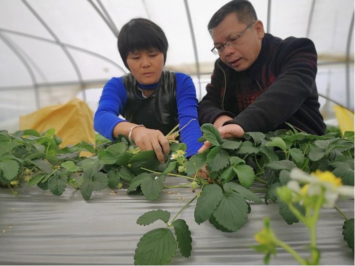 稿8 “流通助理”牵住产业发展“牛鼻子”319.png