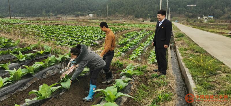 金融助理到田间地头了解情况.jpg