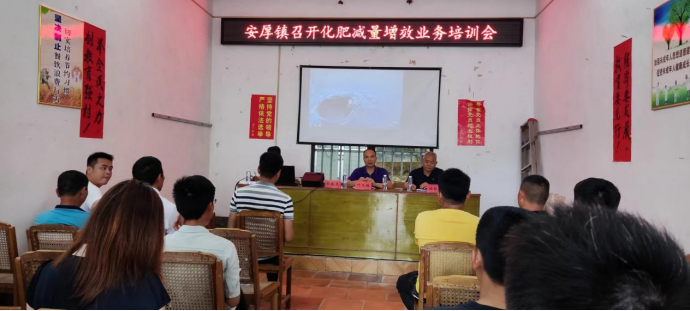 稿4 福建平和:“绿肥+” 柚园“种草”更生态431.png