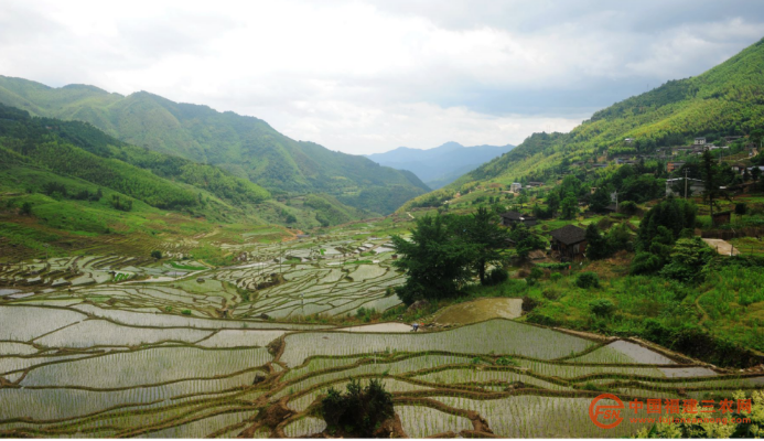 稿8 稻花香里说丰年(1)3049.png