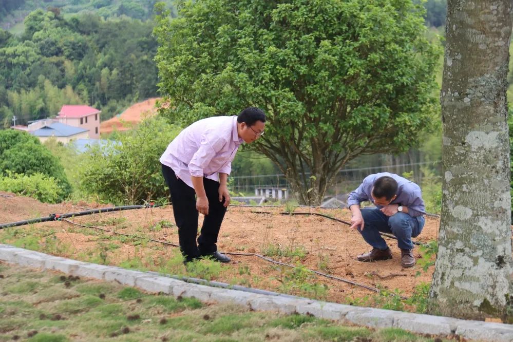 永泰:“专科医生”田地里“把脉问诊” 永泰:“专科医生”田地里“把脉问诊”