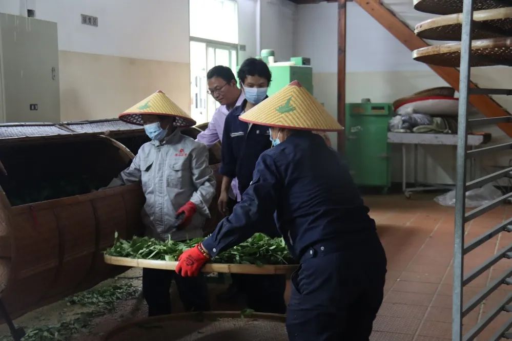 永泰:“专科医生”田地里“把脉问诊” 永泰:“专科医生”田地里“把脉问诊”