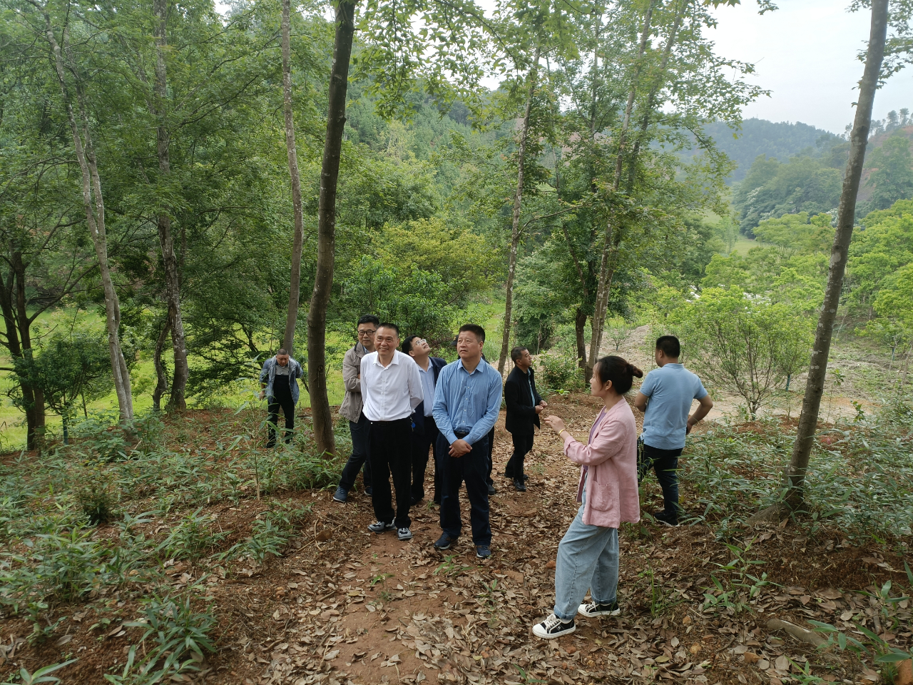 【上级调研】福建省林业局领导到南平调研林长制、林业执法改革、基层林业站建设等工作 【上级调研】福建省林业局领导到南平调研林长制、林业执法改革、基层林业站建设等工作