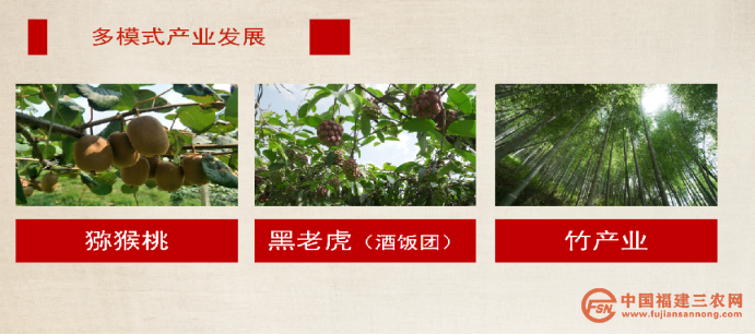 稿6:武平高书村:“红”“绿”交织 助力乡村振兴(1)1201.png