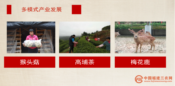 稿6:武平高书村:“红”“绿”交织 助力乡村振兴(1)1203.png