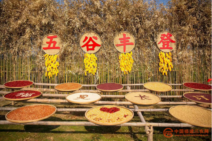 稿4：“庆丰收 迎盛会”109.png