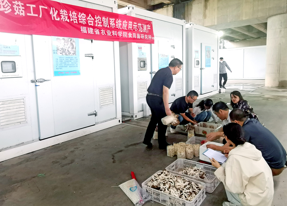 利用秀珍菇智慧方舱进行工厂化栽培测产 -1.jpg