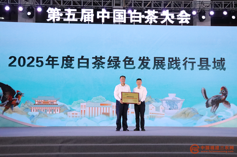 图片22.png