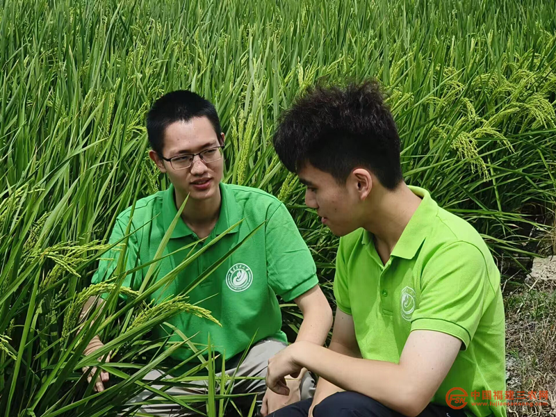 图片19.png