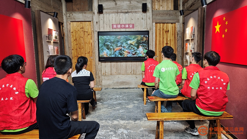 图片4.png