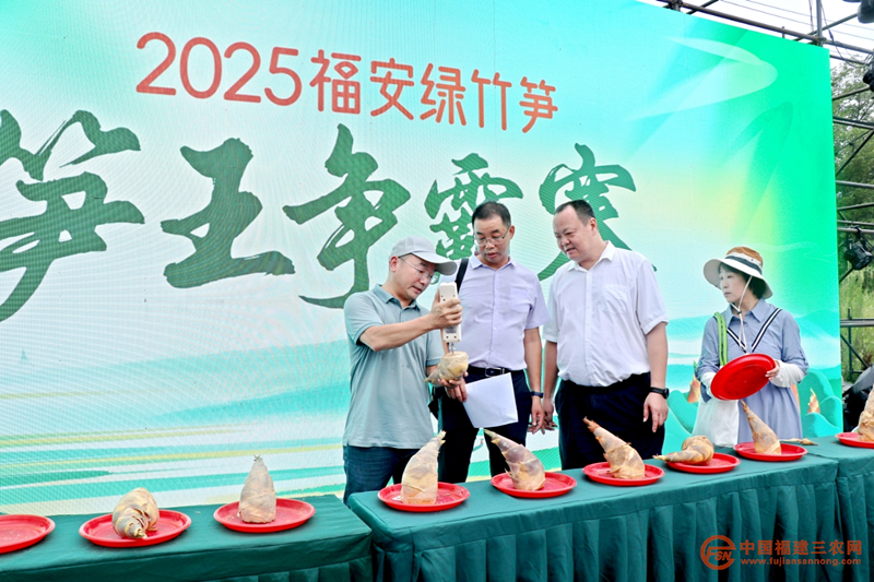 图片6.png