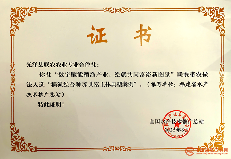 图片13.png