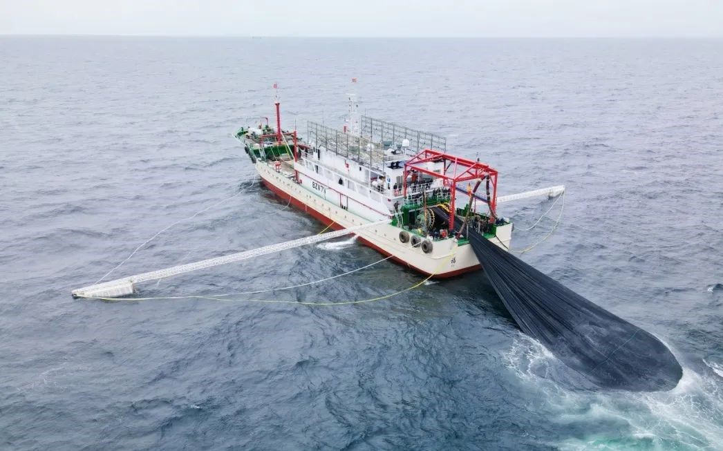 2024年远洋捕捞产量约占全省捕捞产量的38%,全国的9%