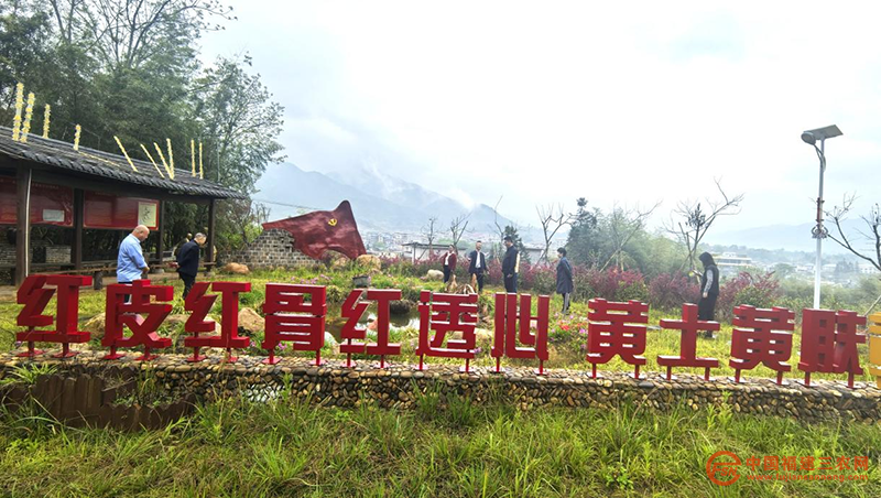 图片8.png